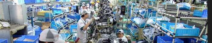 江蘇草莓视频在线下载工廠